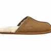 UGG Scuff Braun 20